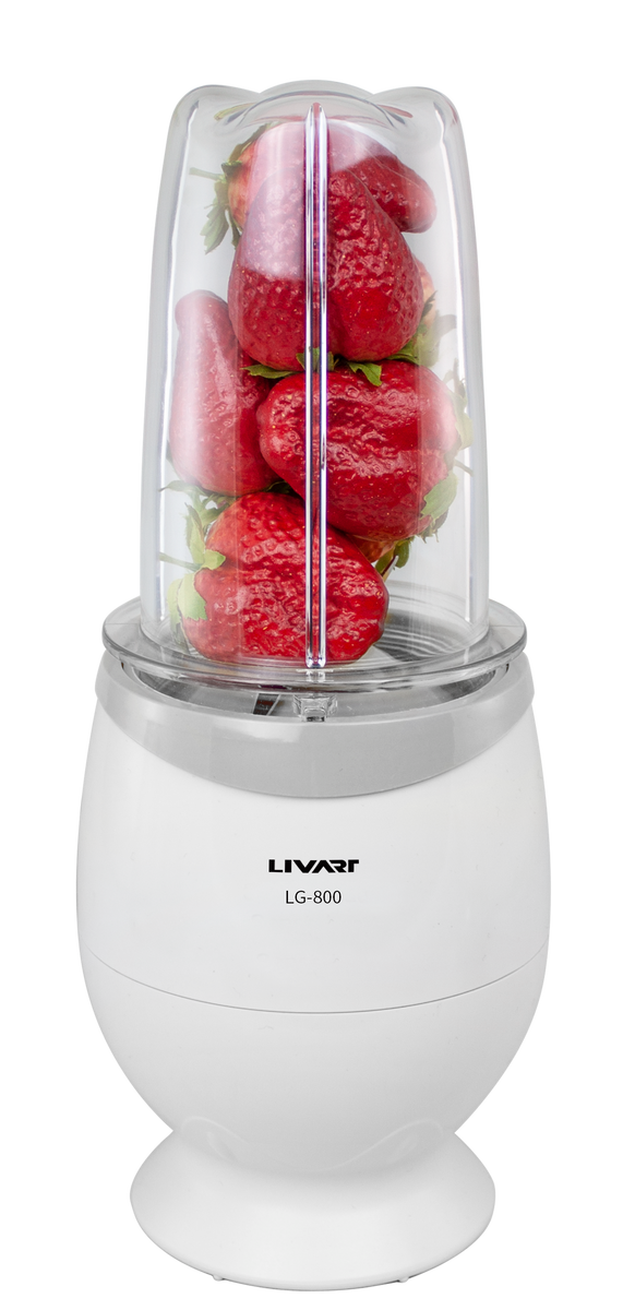 Livart LG-800 Mini Mixer High-Speed Blender – The Livart Group